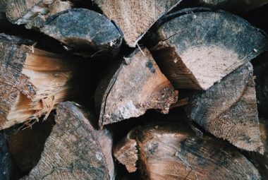 how to handle termites