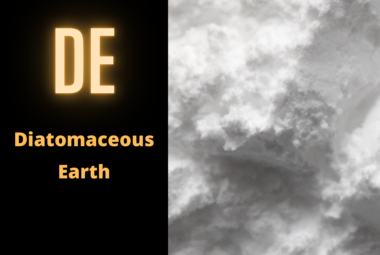 Diatomaceous Earth